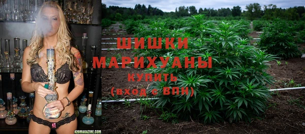 бошки Алексин