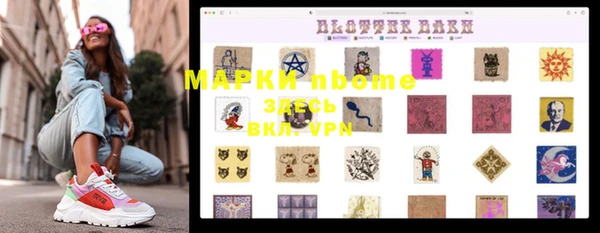 бошки Алексин