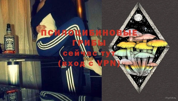бошки Алексин