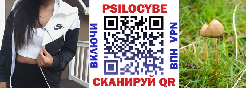 Галлюциногенные грибы Magic Shrooms Цивильск